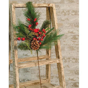 Woodland Cardinal Pine Spray, 24